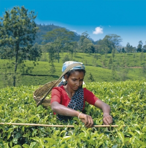 Sri Lanka