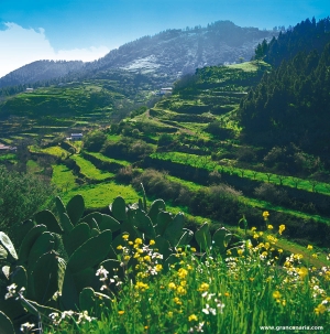 Przewodnik: Hiszpania/Gran Canaria